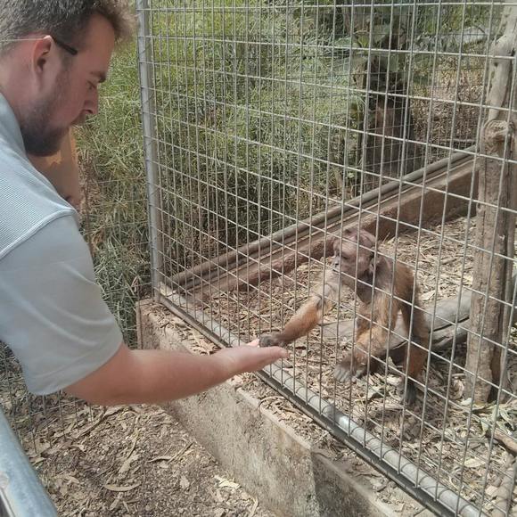 Meet your Posher, Riley - Picture 1 of 1